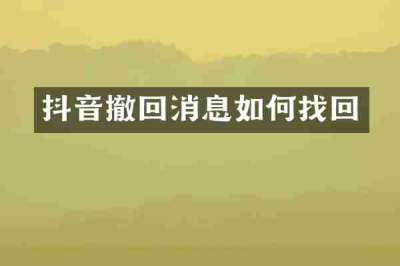 抖音撤回消息如何找回