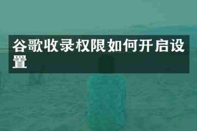 谷歌收录权限如何开启设置