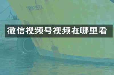 微信视频号视频在哪里看