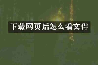 下载网页后怎么看文件