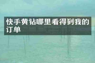 快手黄钻哪里看得到我的订单
