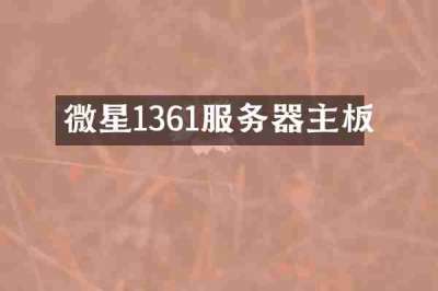 微星1361服务器主板