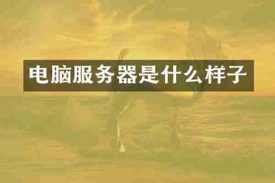 电脑服务器是什么样子