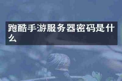 跑酷手游服务器密码是什么