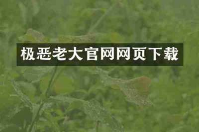 极恶老大官网网页下载