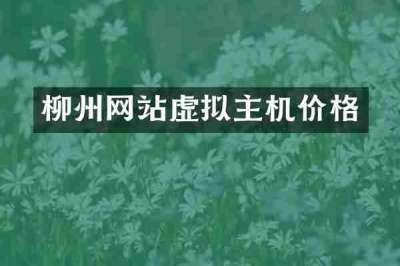 柳州网站虚拟主机价格