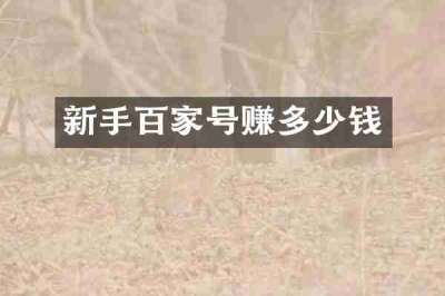 新手百家号赚多少钱