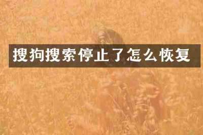 搜狗搜索停止了怎么恢复