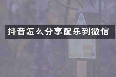 抖音怎么分享配乐到微信