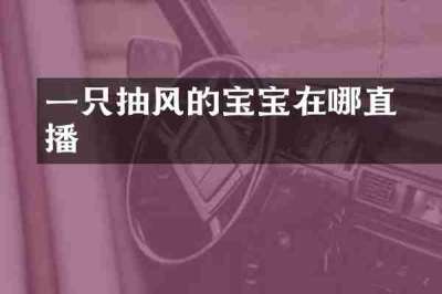 一只抽风的媜宝宝在哪直播
