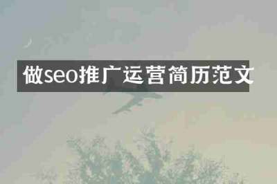 做seo推广运营简历范文