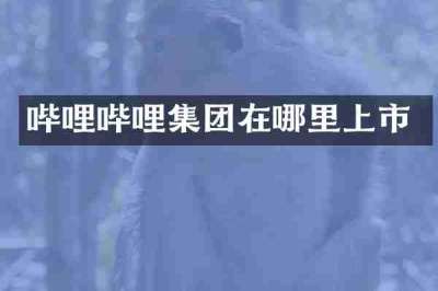 哔哩哔哩集团在哪里上市