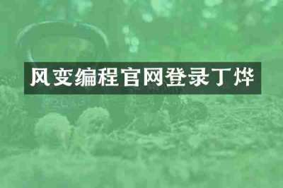 风变编程官网登录丁烨