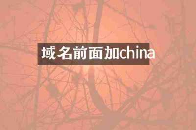 域名前面加china