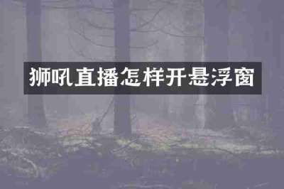 狮吼直播怎样开悬浮窗