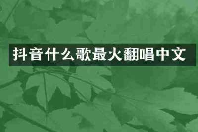 抖音什么歌最火翻唱中文