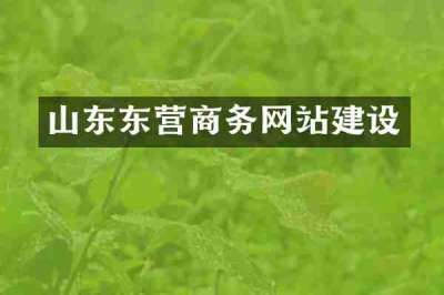 山东东营商务网站建设