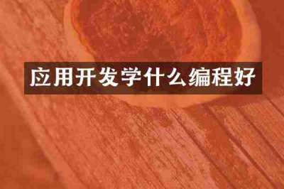 应用开发学什么编程好