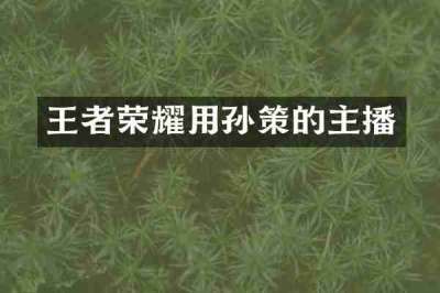 王者荣耀用孙策的主播