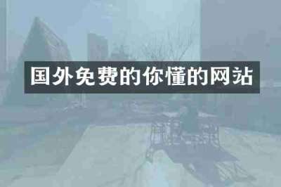 国外免费的你懂的网站