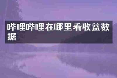 哔哩哔哩在哪里看收益数据