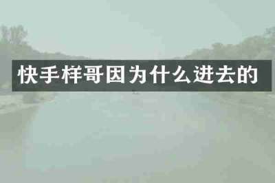 快手样哥因为什么进去的