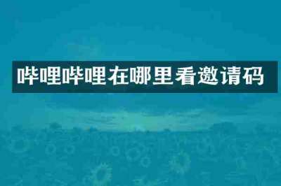 哔哩哔哩在哪里看邀请码