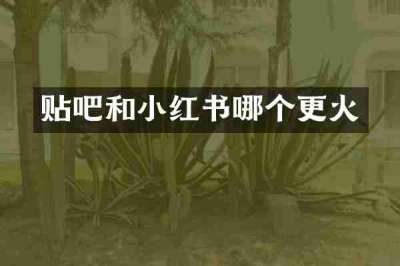 贴吧和小红书哪个更火