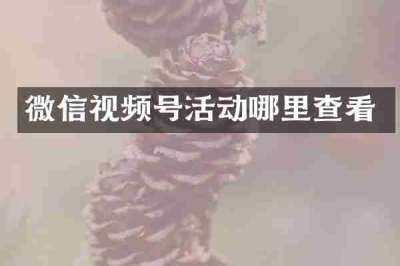 微信视频号活动哪里查看
