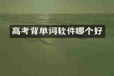 高考背单词软件哪个好