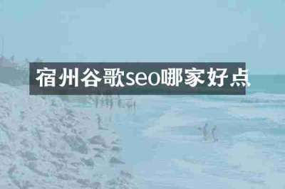 宿州谷歌seo哪家好点