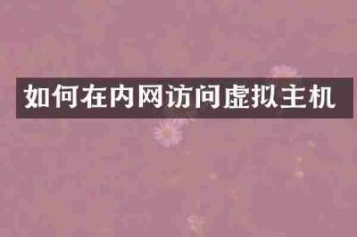 如何在内网访问虚拟主机