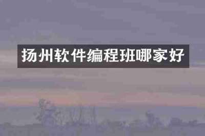 扬州软件编程班哪家好