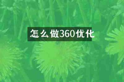 怎么做360优化