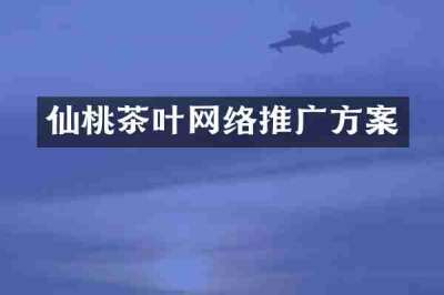 仙桃茶叶网络推广方案