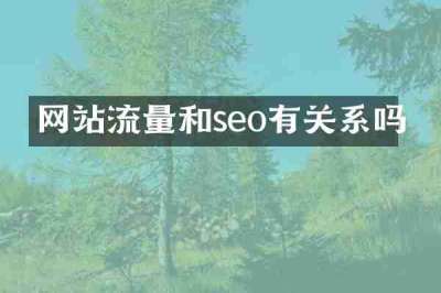 网站流量和seo有关系吗