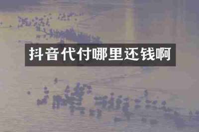 抖音代付哪里还钱啊