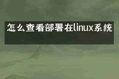 怎么查看部署在linux系统上