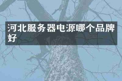 河北服务器电源哪个品牌好