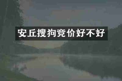 安丘搜狗竞价好不好