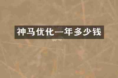 神马优化一年多少钱