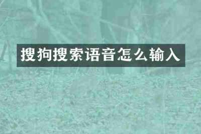 搜狗搜索语音怎么输入