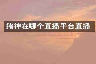 猪神在哪个直播平台直播