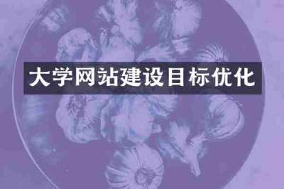 大学网站建设目标优化