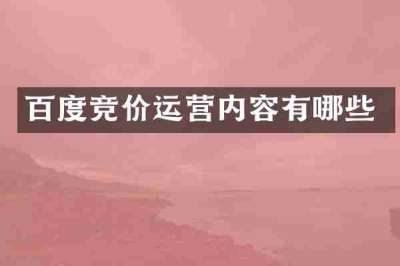 百度竞价运营内容有哪些