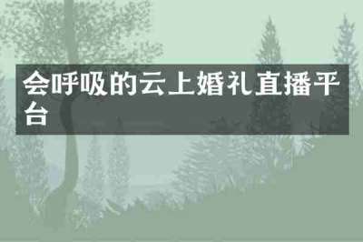 会呼吸的云上婚礼直播平台