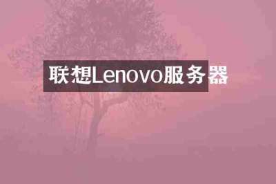 联想Lenovo服务器