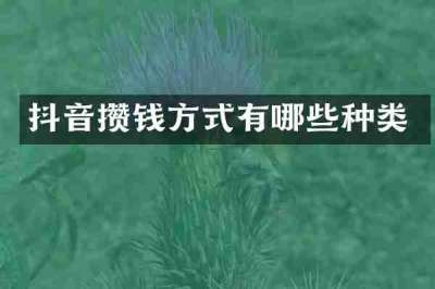 抖音攒钱方式有哪些种类
