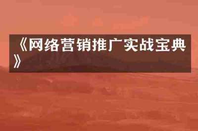 《网络营销推广实战宝典》