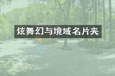 炫舞幻与境域名片夹